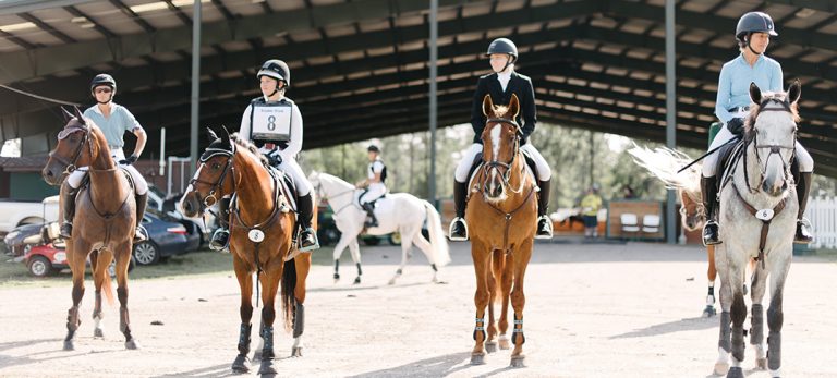 Stable View Equestrian – A Gathering Place