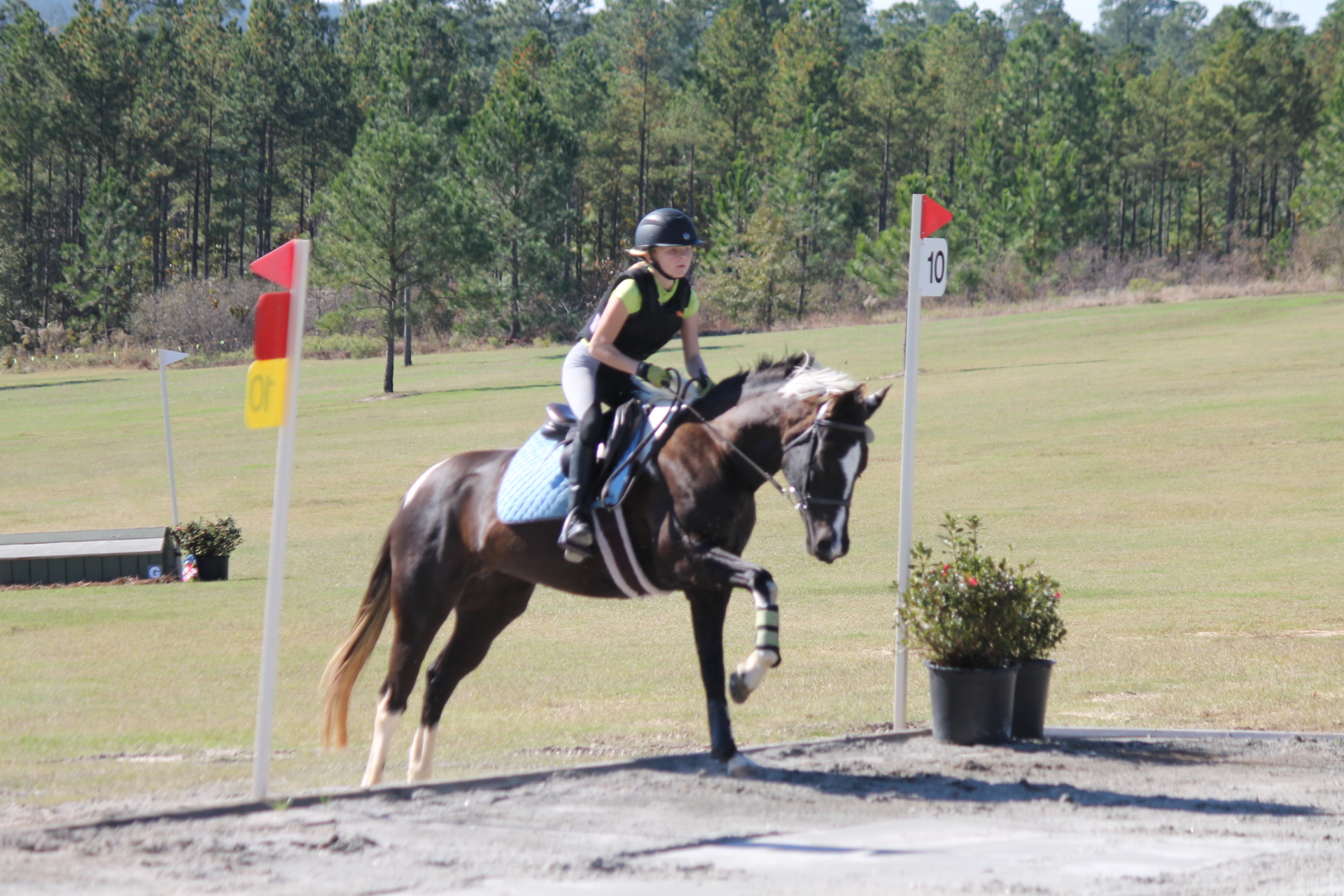 Stable View Eventing Academy