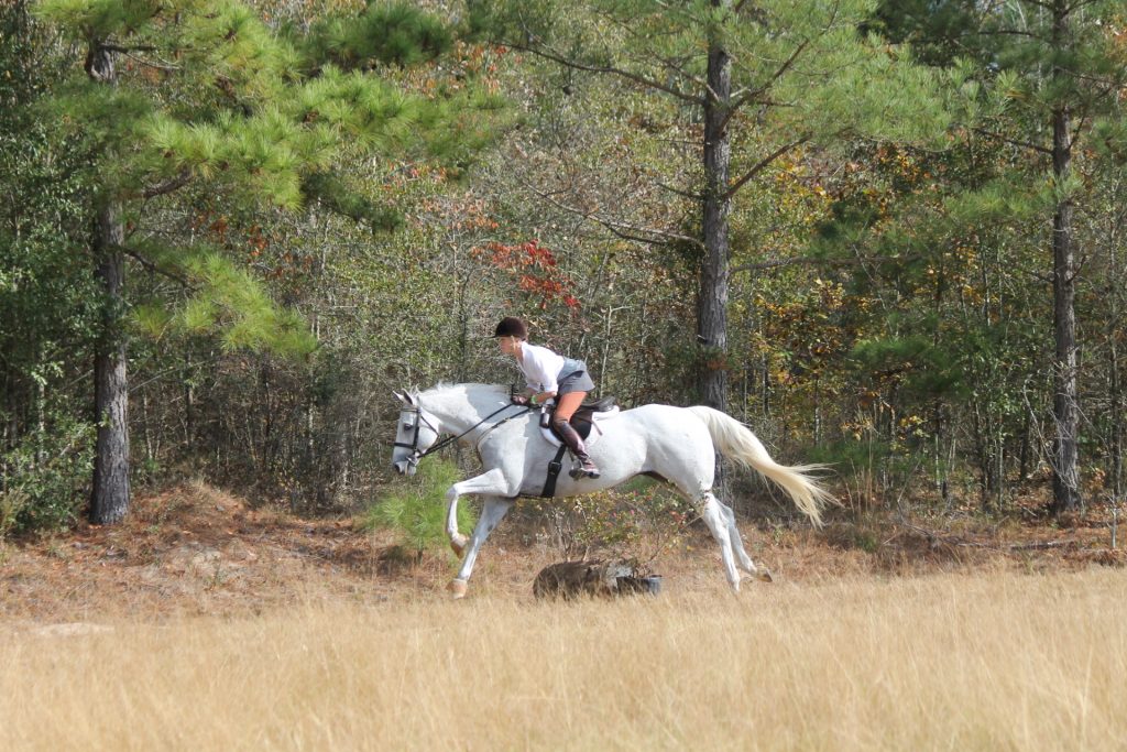 Hunter Pace Stable View Equestrian