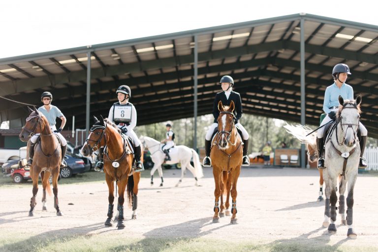 Stable View In & Out Series Stable View Equestrian